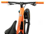 AMS X Red Bull Rampage Ridgeline design Brown color on mtb top tube